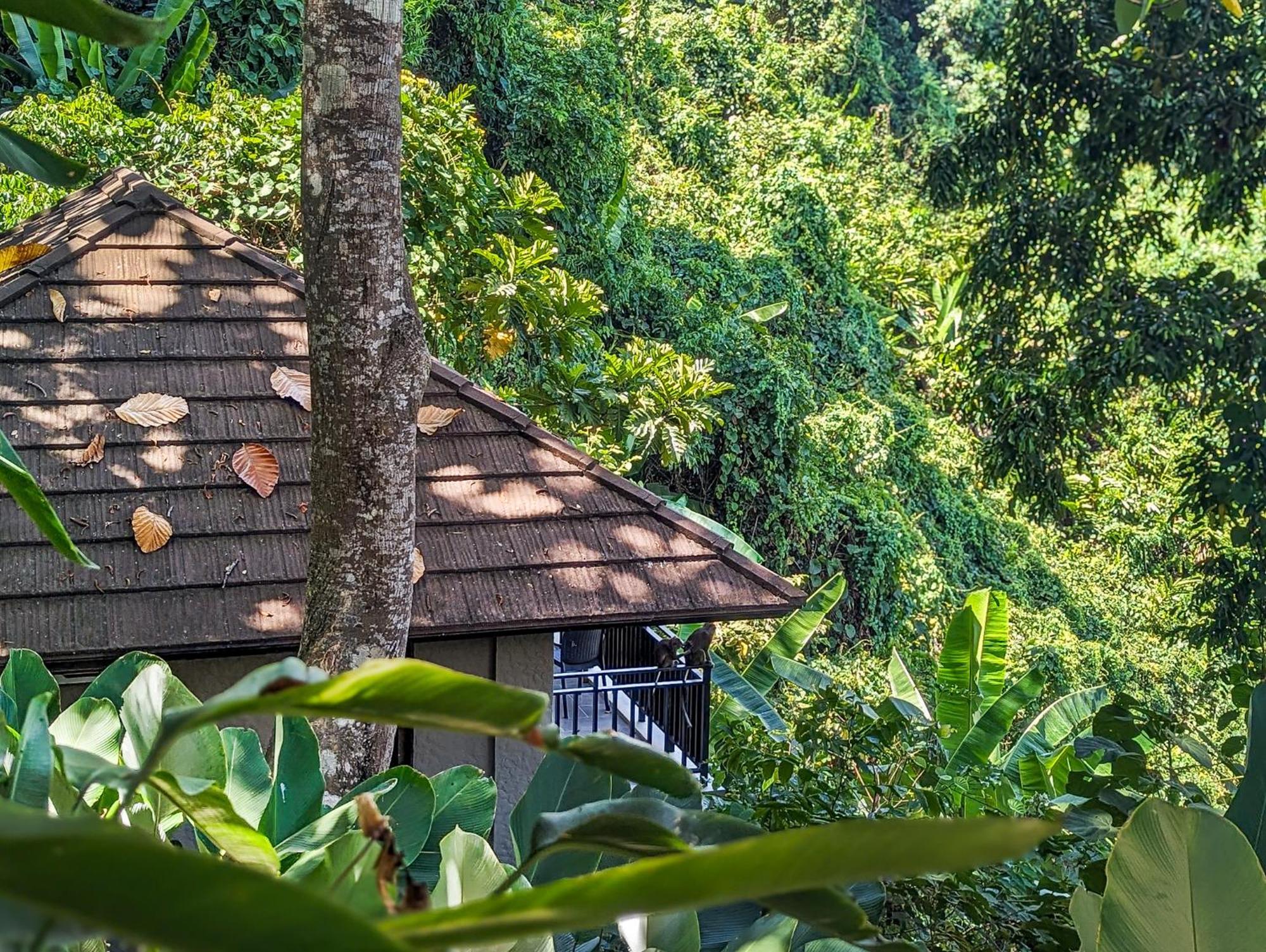 Perch El Nido'S Seaview Villas Overlooking Marimegmeg 외부 사진
