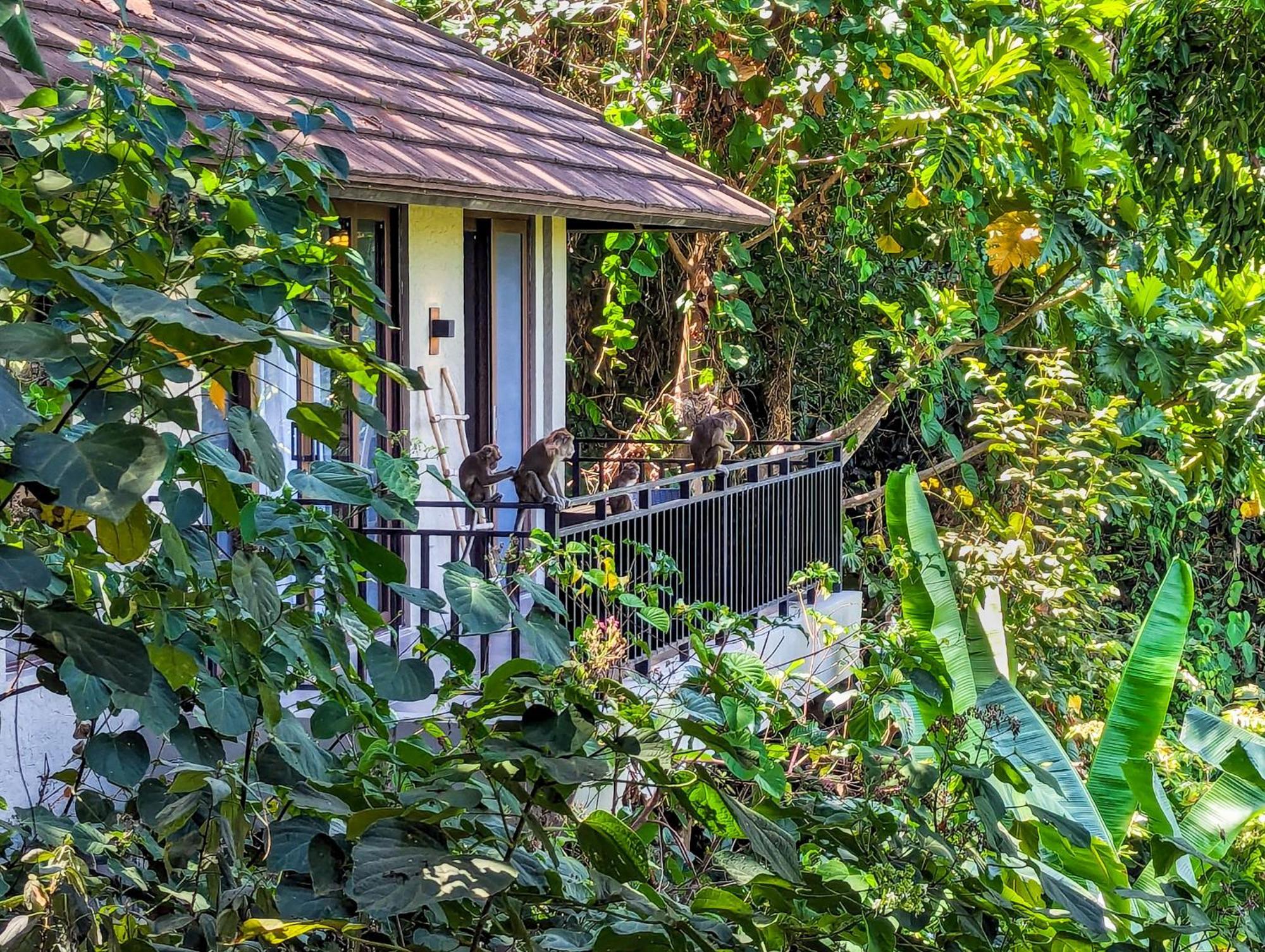 Perch El Nido'S Seaview Villas Overlooking Marimegmeg 외부 사진